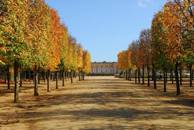 パリの秋の美しい風景のある公園 ５選