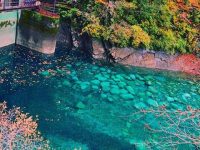 日本のウユニ塩湖は２位【ＳＮＳ映えする国内スポットランキング】１位は・・・