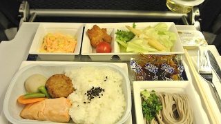 【機内食で世界巡り】フランクフルト〜羽田「全日空」