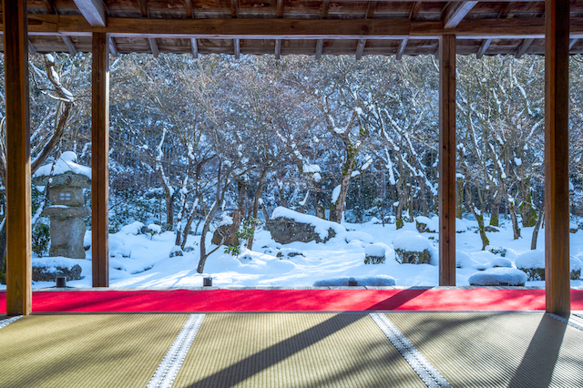 冬の京都は車で情緒のある旅を