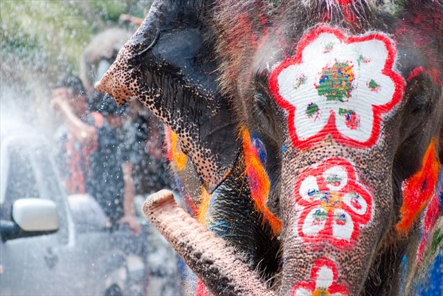 春の格安旅行にタイがおすすめの3つの理由