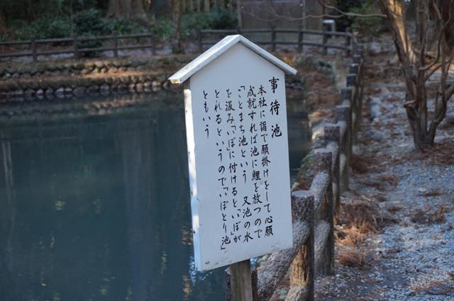 【出世運も高まる】遠州の魅力をたっぷりと味わえる掛川・浜松のおすすめスポット