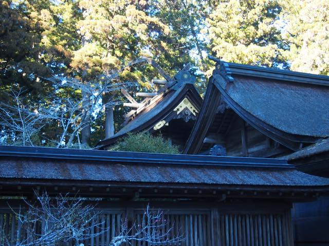 【出世運も高まる】遠州の魅力をたっぷりと味わえる掛川・浜松のおすすめスポット