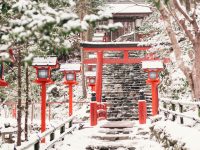 冬の京都は車で情緒のある旅を