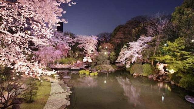 春爛漫☆昼と夜☆桜吹雪の舞う幻想的な風景☆極上のフラワールチル入りガーデン水晶 4k] 桜吹雪 - A shower of cherry blossom petals looks like