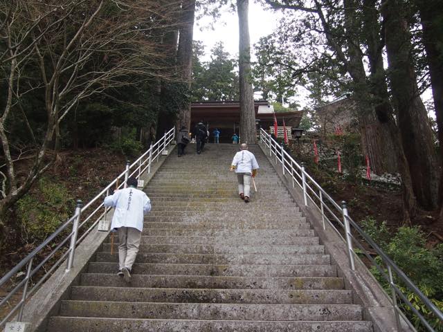 【プチお遍路も】阿波踊りで有名な徳島県でシームレス寺泊を体験してきた