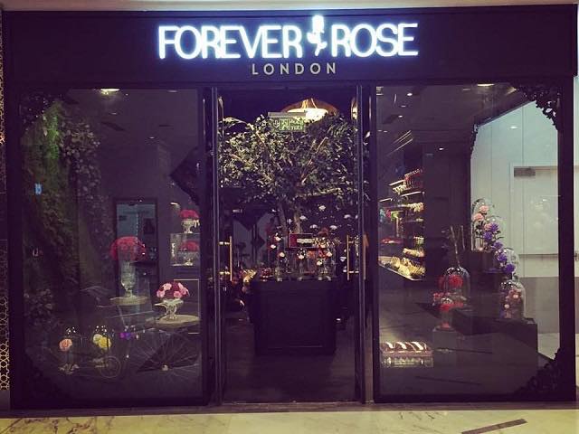 ディズニー公認！ガラスドームに優しく守られた永遠のバラ「Forever Rose London」
