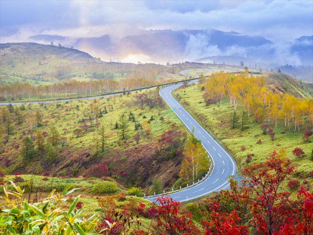 【2017絶景道路ランキング】地平線を追いかけたい、日本の美しい道