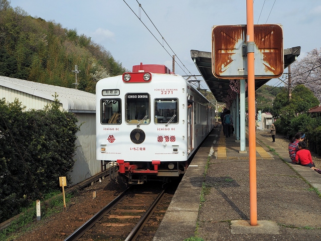 猫のニタマ駅長、見習いのよんたまに会いに！ローカル線・和歌山電鐵貴志川線の旅