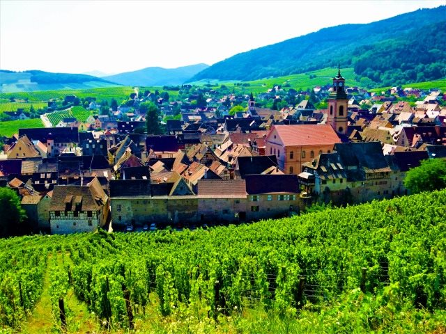 フランスの最も美しい村、「ブドウ畑の真珠」リクヴィルの5つの魅力