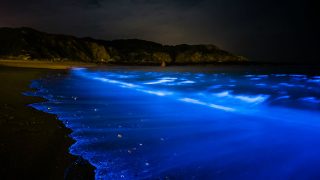 台湾の離島・馬祖で鑑賞する季節限定の幻想的な光景「青の涙」
