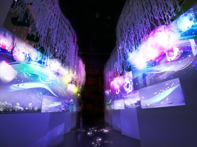 今週どこ行く?東京都内近郊おすすめイベント【5月8日〜5月14日】無料あり