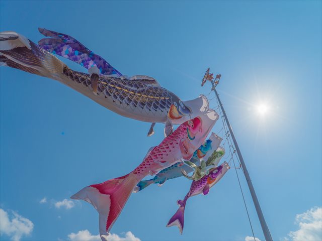今週どこ行く?東京都内近郊おすすめイベント【5月8日〜5月14日】無料あり