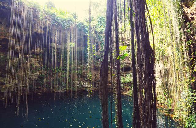 【メキシコ】異次元への入り口　透明な青い水を湛えるセノーテ