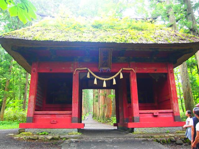【日帰り旅一人旅も】行くだけでパワーアップできる、長野・戸隠神社の五社めぐり