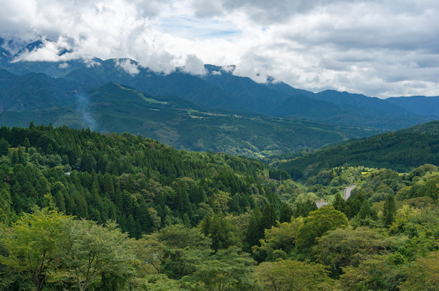 森林率が先進国で【世界３位】日本の森は世界的に見ても豊かだと知ってた？【日本の不思議】