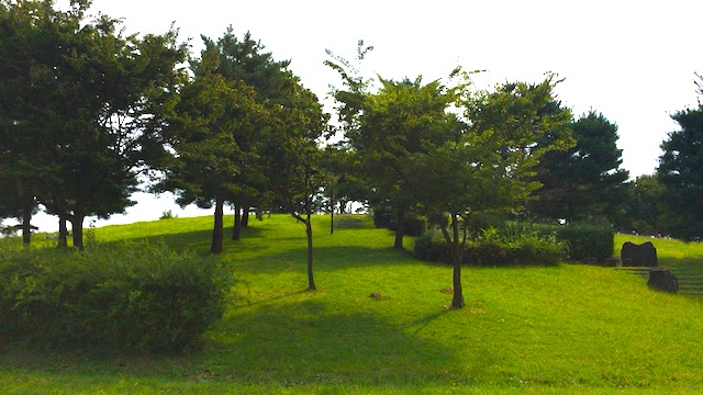 飛行機の離着陸を眺められる穴場公園。調布飛行場隣の「武蔵野の森公園」