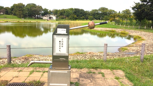 飛行機の離着陸を眺められる穴場公園。調布飛行場隣の「武蔵野の森公園」