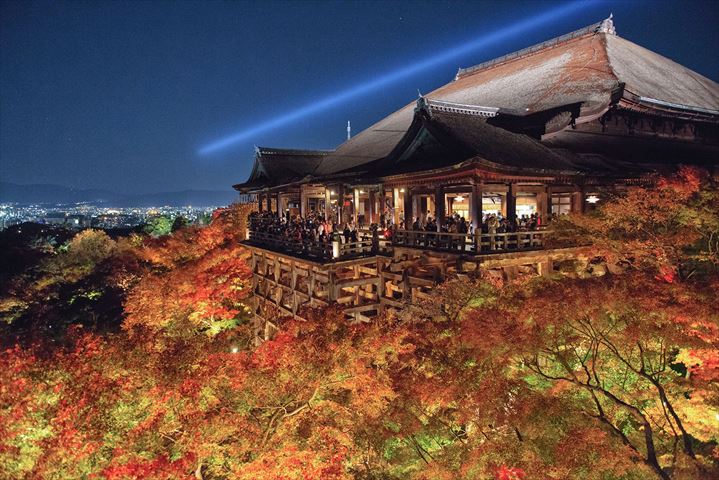 秋の清水寺、紅葉を楽しむ幻想的なライトアップ
