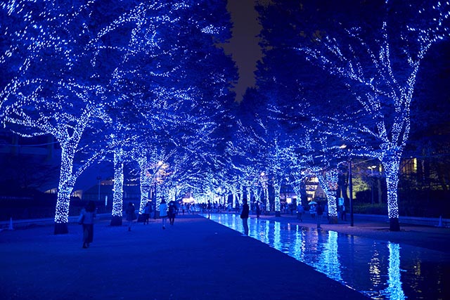 渋谷に「青の洞窟」が帰ってきます！2017年も「青の洞窟 SHIBUYA」開催決定！