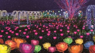 あしかがフラワーパーク『光の花の庭』がイルミネーションアワード第１位！