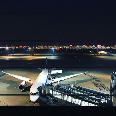 旅行前に宇宙へトリップ！？羽田空港国際線旅客ターミナルにあるプラネタリウム「スターリーカフェ」