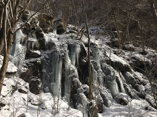 冬しか見られない幻想的な氷瀑のライトアップ【奥入瀬渓流氷瀑ツアー】