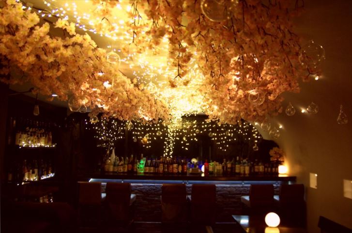 8,000輪の桜がイルミネーションに照らされる幻想的な 「吉祥寺 夜桜 2018」開催中