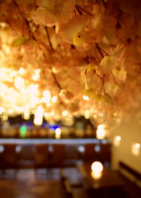 8,000輪の桜がイルミネーションに照らされる幻想的な 「吉祥寺 夜桜 2018」開催中