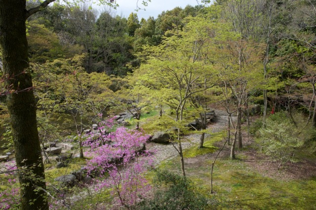 次の大阪観光はここ！文化と自然が楽しめるレトロな大阪、万博記念公園