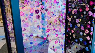 花とトイレの新しい関係！INAXトイレの新色がくすぐるアート感覚