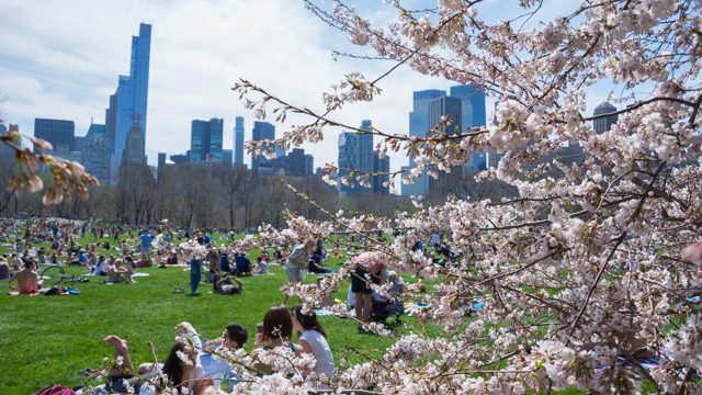 春のニューヨークで何を着ればいい ３ ５月の天気 気温 現地の服装 Tabizine 人生に旅心を