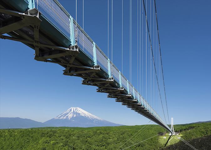 SNSでシェアしたい人気ナンバーワンは富士山！桜と富士山をスカイウォークから眺める「ザ・日本の旅」