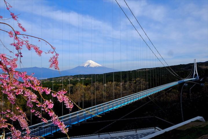 SNSでシェアしたい人気ナンバーワンは富士山！桜と富士山をスカイウォークから眺める「ザ・日本の旅」