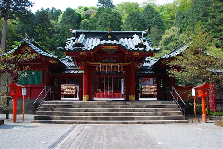 SNSでシェアしたい人気ナンバーワンは富士山!桜と富士山をスカイウォークから眺める「ザ・日本の旅」