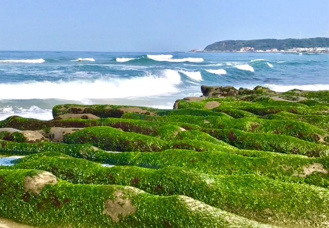台湾北海岸の春限定!フォトジェニックな緑色の海岸線