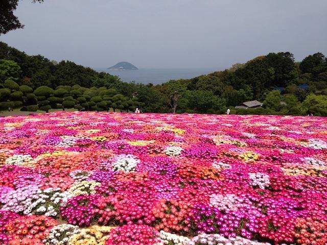 海沿いの花畑が美しい癒しの島 福岡から気軽に行ける 能古島 Tabizine 人生に旅心を