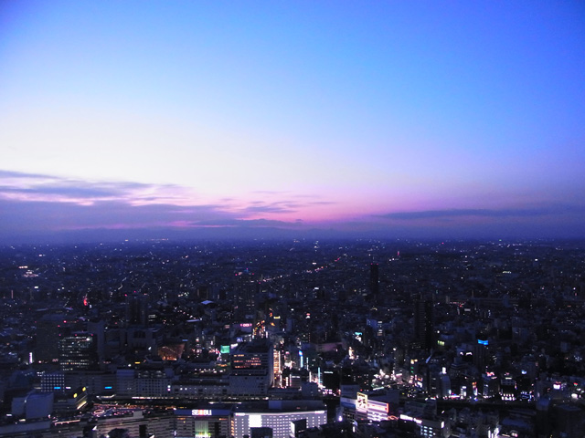 地上60階の上空で芝生の上でピクニック?サンシャイン60で「空ピクニック」はいかが?