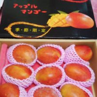 台湾現地から！日本にお土産マンゴーを届けよう！
