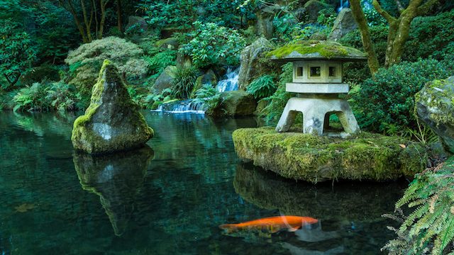 旅行前に予習 超簡単な日本庭園の楽しみ方ガイド Tabizine 人生に旅心を