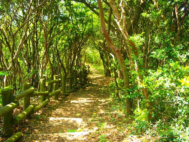 ※日本の島特集　三島由紀夫の小説「潮騒」の舞台、絶景を望める三重県・神島