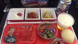 JAL国際線エコノミークラス【機内食ルポ】東京（成田）〜ニューヨークの機内食。日本発は「空の上のレストラン」