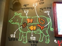 【韓国・ソウル】ホルモンが苦手だった人の概念を覆す絶品コプチャン
