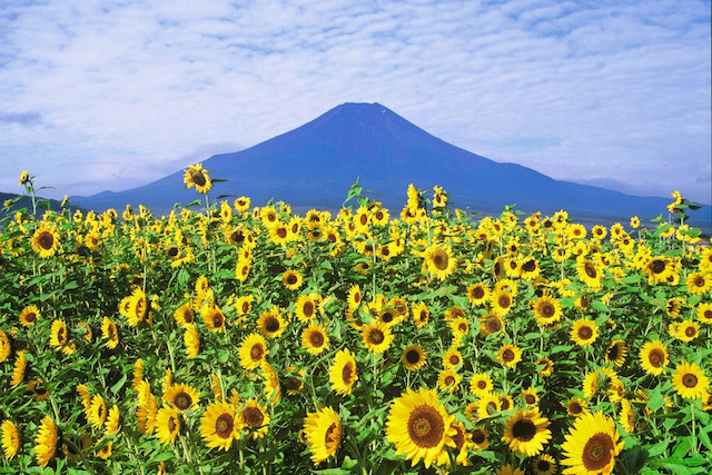 世界で見つけた「富士山」に似ている山8選　【あなたの知らない富士山トリビア】