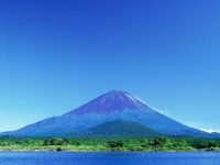 【富士山トリビア】富士山の近くに7年に一度現れる幻の湖がある！？2018年にも出現！？