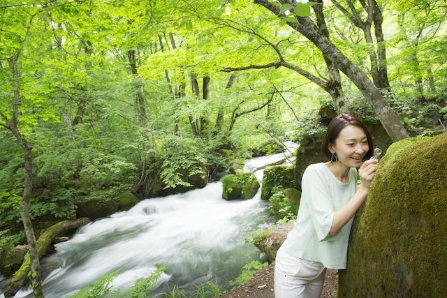 苔と暮らす１泊２日。奥入瀬渓流の苔を愛で、癒される旅