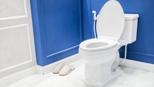 英国の新聞が伝える 日本の変なこと素敵なこと は正しいか否か検証してみた Tabizine 人生に旅心を