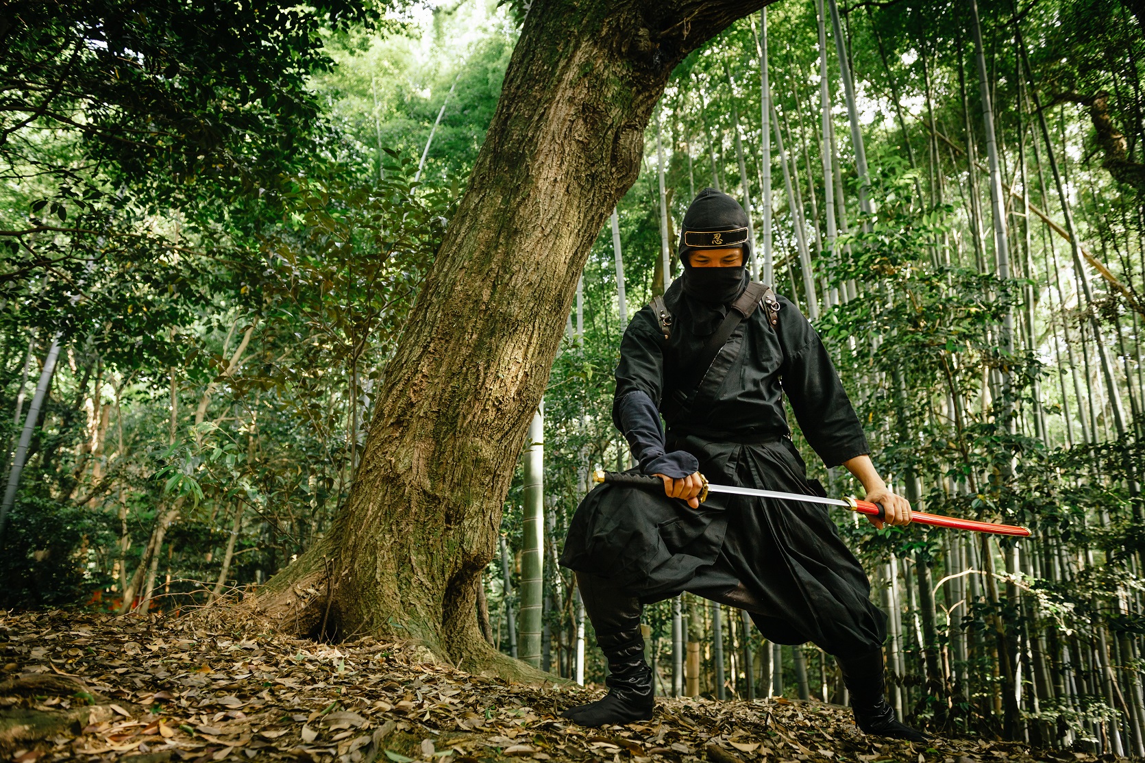 京都・伏見稲荷で忍者になりきって任務を遂行できるアクティビティが面白い