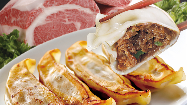 個性あふれる餃子の祭典!「餃子博 in DiverCity Tokyo Plaza」