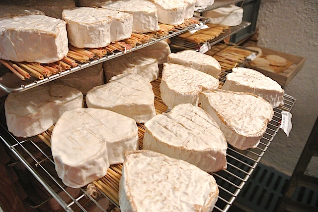 【フランス】お土産に喜ばれるチーズを在住者が勝手にランキング